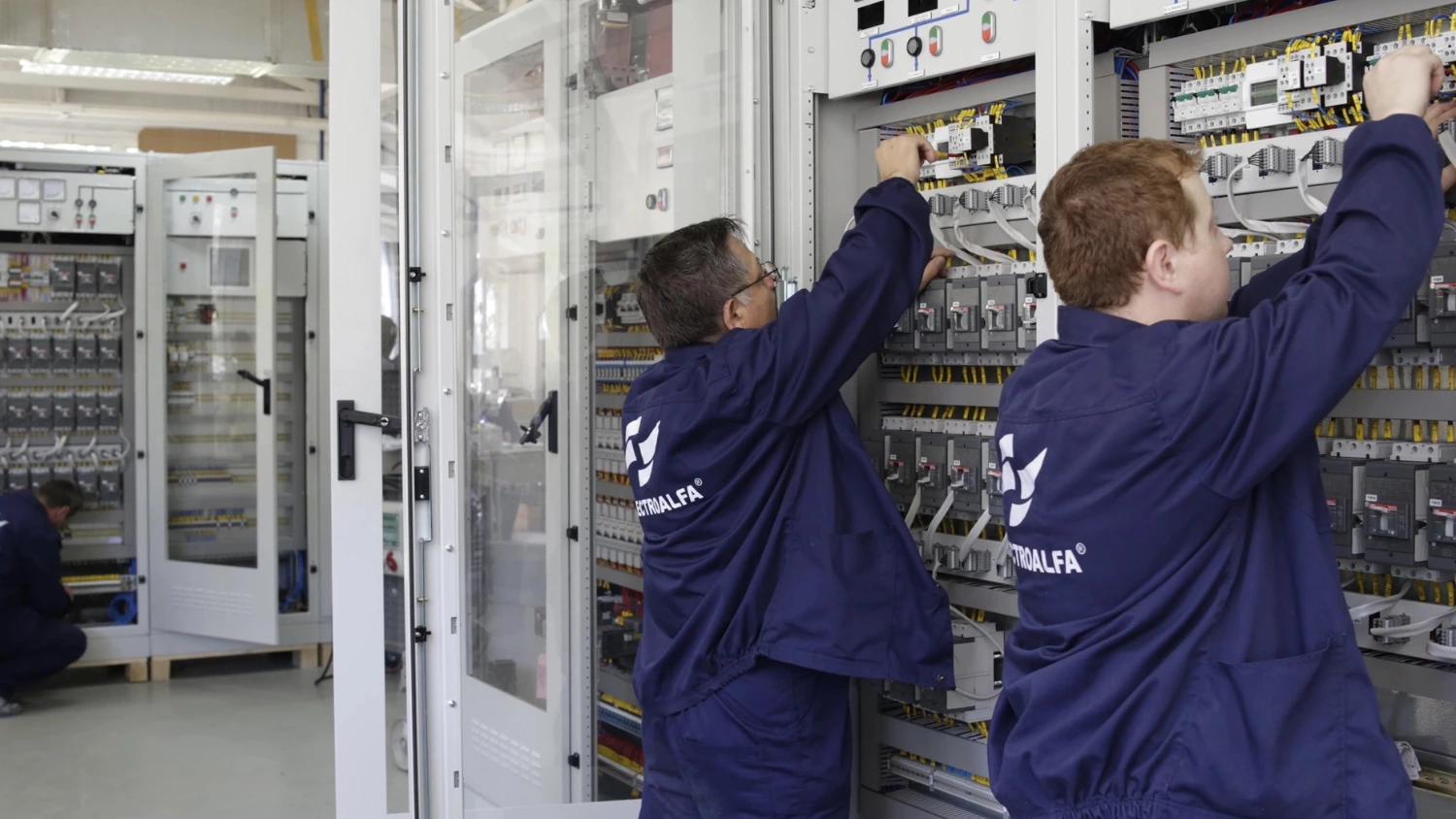 Electro-Alfa plans IPO on BVB