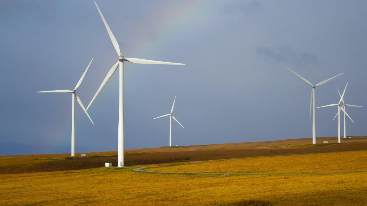 Premier Energy completes €128 million Hungarian wind farm deal