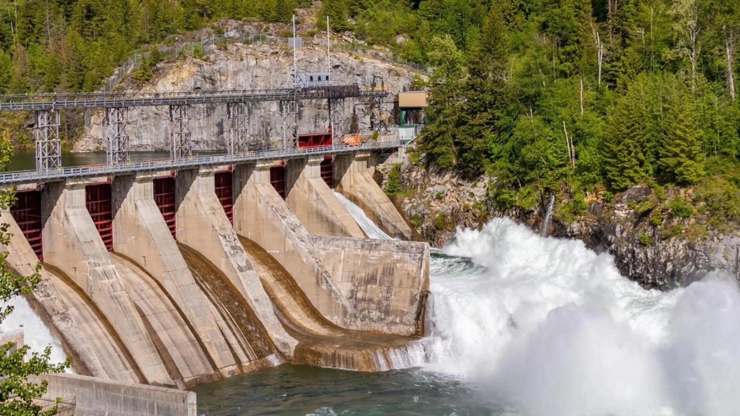 Hidroelectrica appoints new CEO amid energy transition push