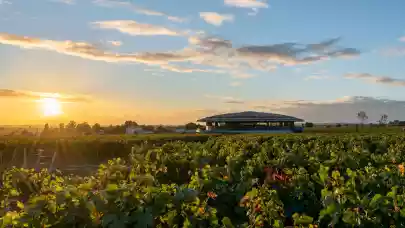 News - Foster + Partners and JTRE establish winery in Bordeaux