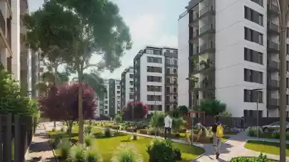 News - Realpad successfully expands in Romania