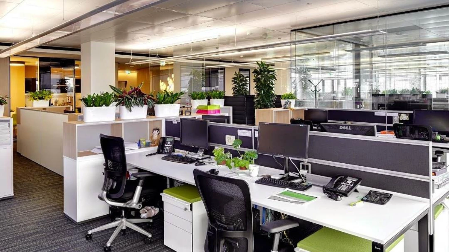 News Article Almost half of Romanian employees have resumed office work