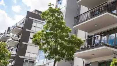 News - Housing crunch underpins solid European residential investment outlook