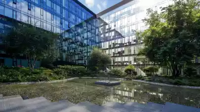 News - Golden Star wants to capitalize on the office supply gap