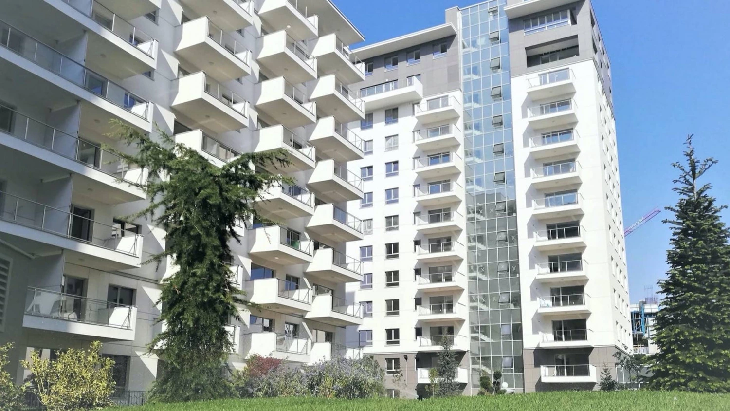 News Article Impact Developer & Contractor posts 45% sale growth in H1 2022