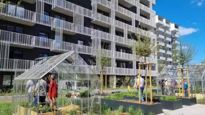 News - Echo reports strong financial results for H1v2022