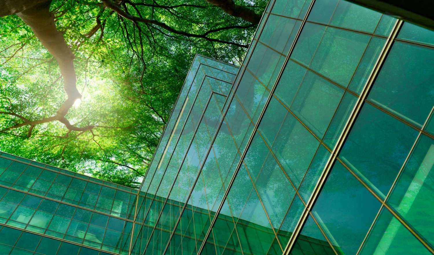 News Article EBRD invests €50 million in CEE in partnership with Adventum