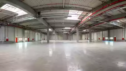 News - Speedwell buys land near Bucharest