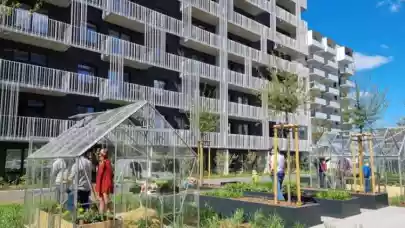 News - Echo-Archicom Group merges residential businesses