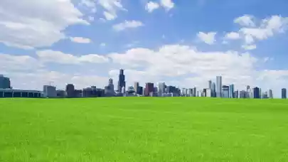 News - Green field investments - Where? When? How?