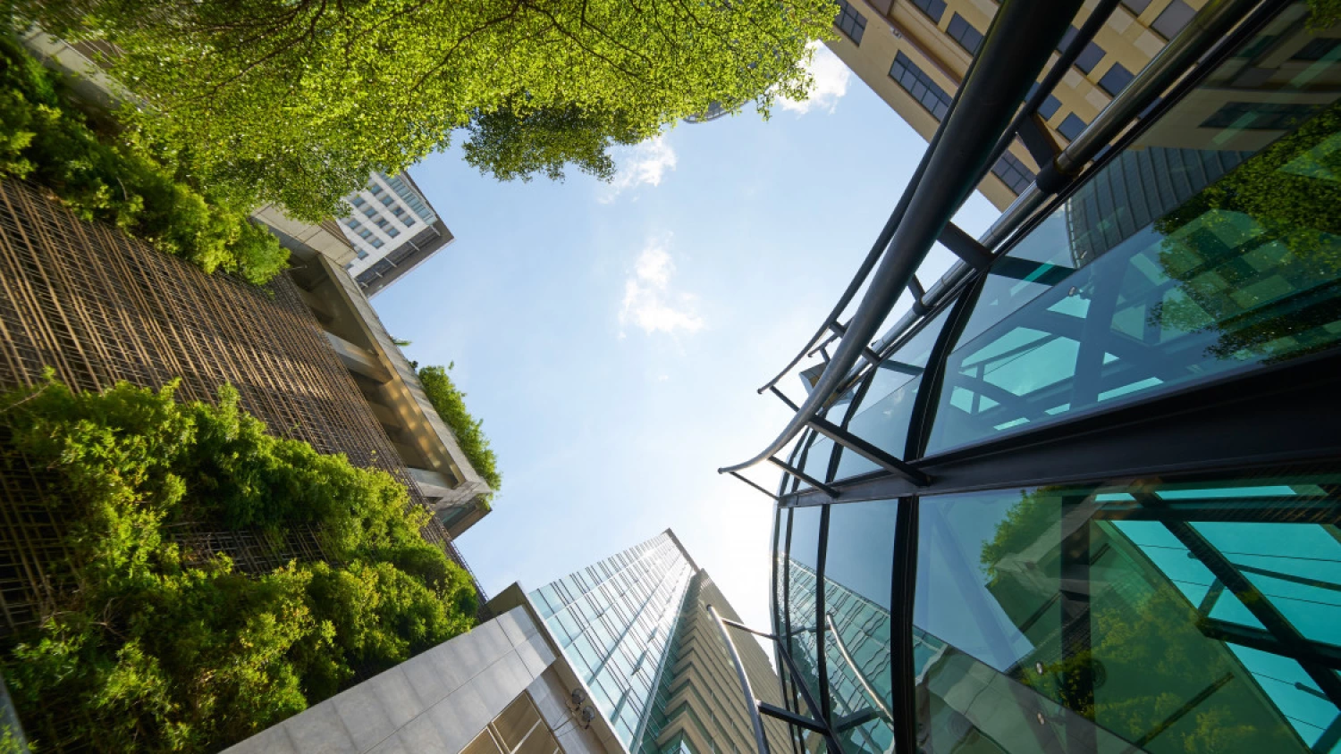 News Article Cushman & Wakefield boosts ESG arm in Poland