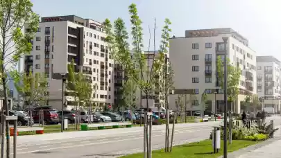 News - New Immo Holding posts revenue gain in H1 2023