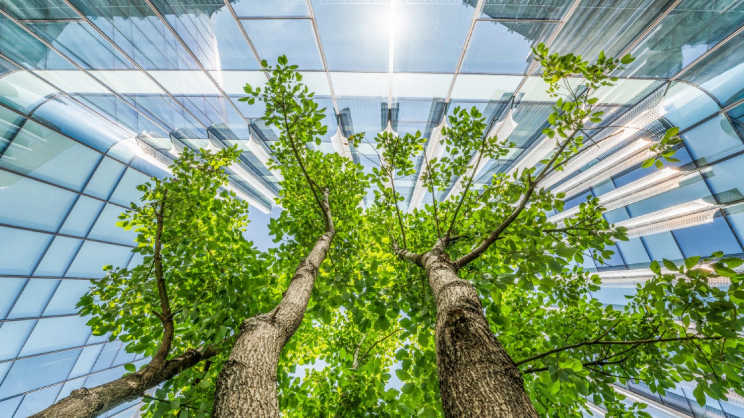 News Article Wing publishes second ESG report