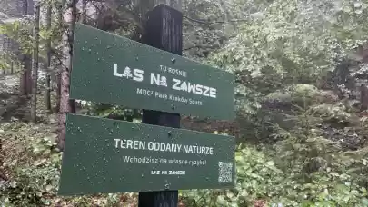 News - Generali RE and MDC2 support forest preservation in Poland