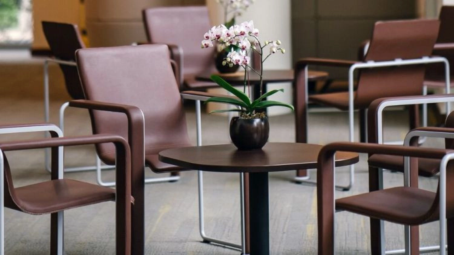News Article Poland's hotel market bounces back