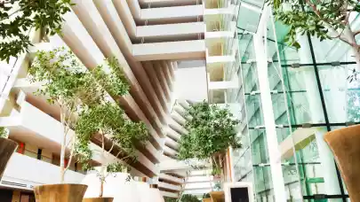 News - How’s the S in ESG driving the development and refurbishment of offices?