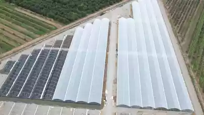 News - Portland Trust sells 50 ha land plot in Romania