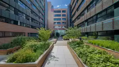 News - Blue-green infrastructure treats overheated urban areas