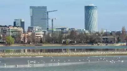 News - Strong demand for new Bucharest office space