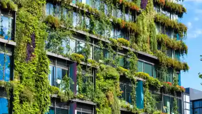 News - The greener a building is, the higher its profitability