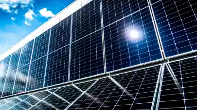 News - Futureal Energy launches international expansion under new brand