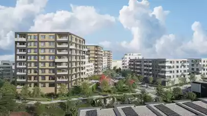 News - Zeitgeist expands cooperation with Reico