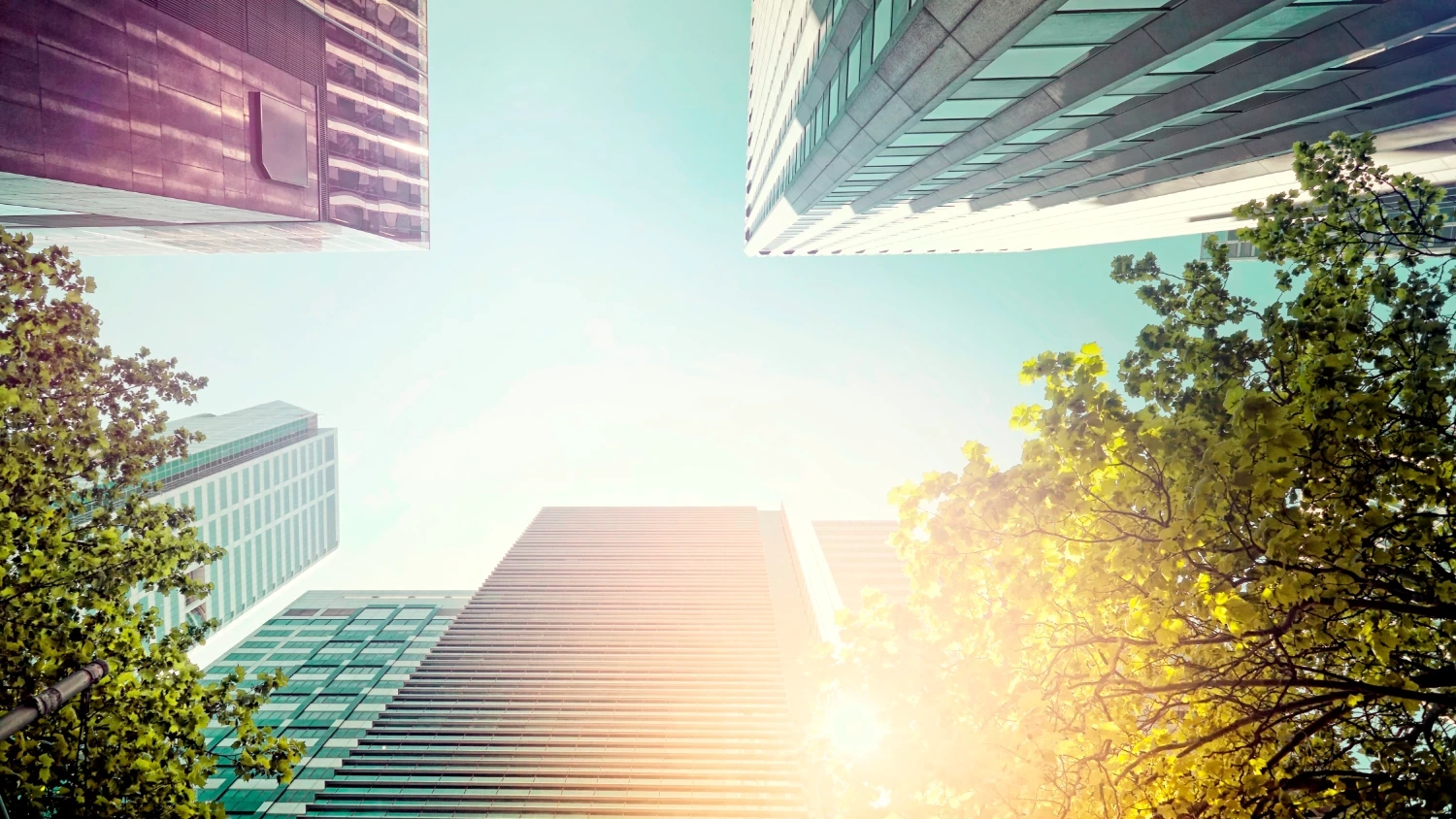 Bucharest ranks among Europes most affordable office markets