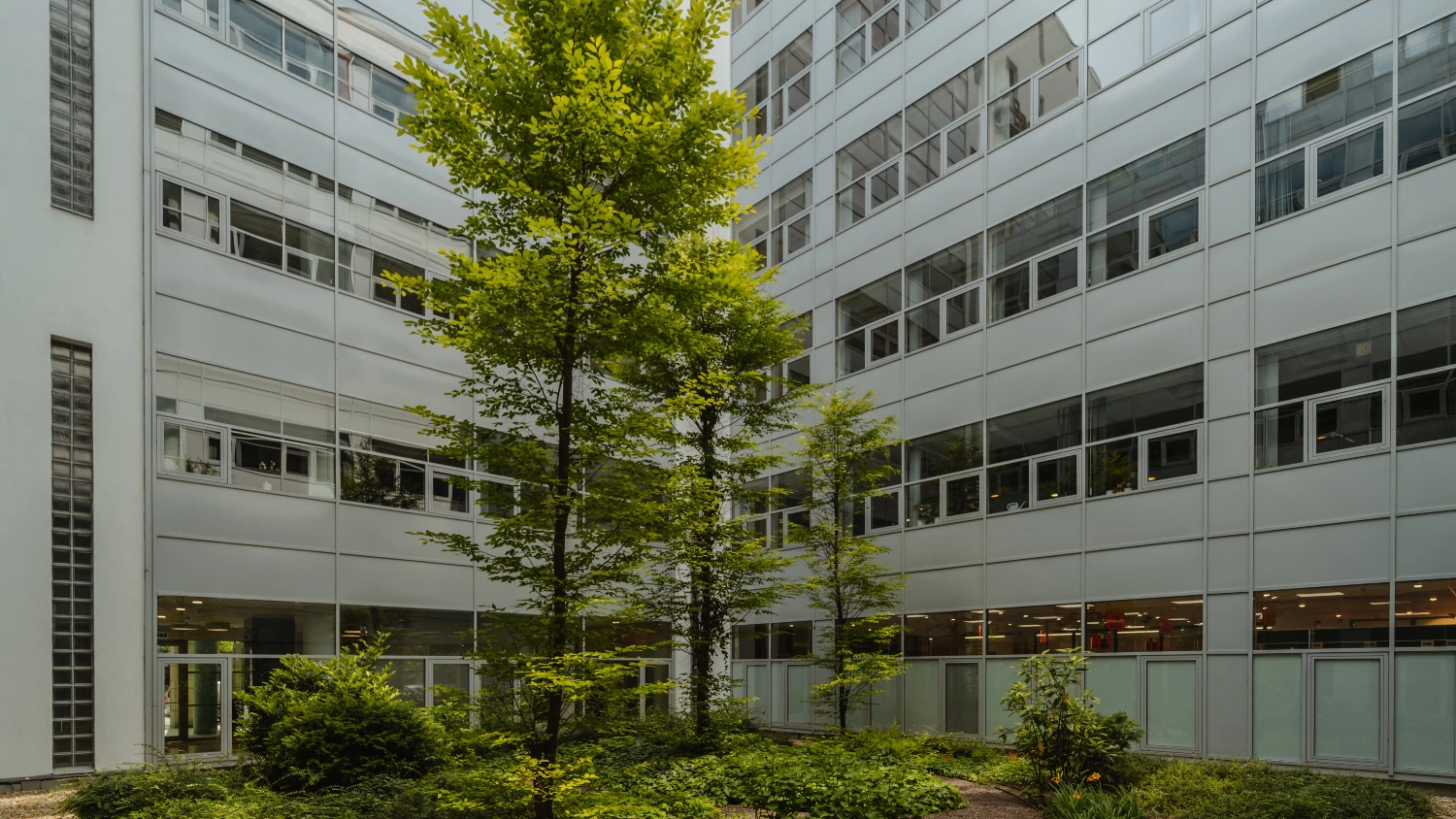 News Article Budapest CA Immo Hedwig Höfler Hungary Keegan Viscius Office