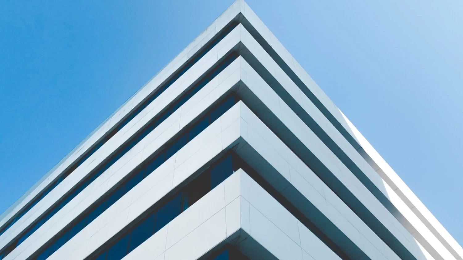 Meta Estate Trust names new CEO