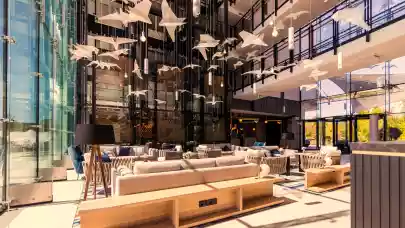 News - Radisson launches AI-powered real-time price matching technology