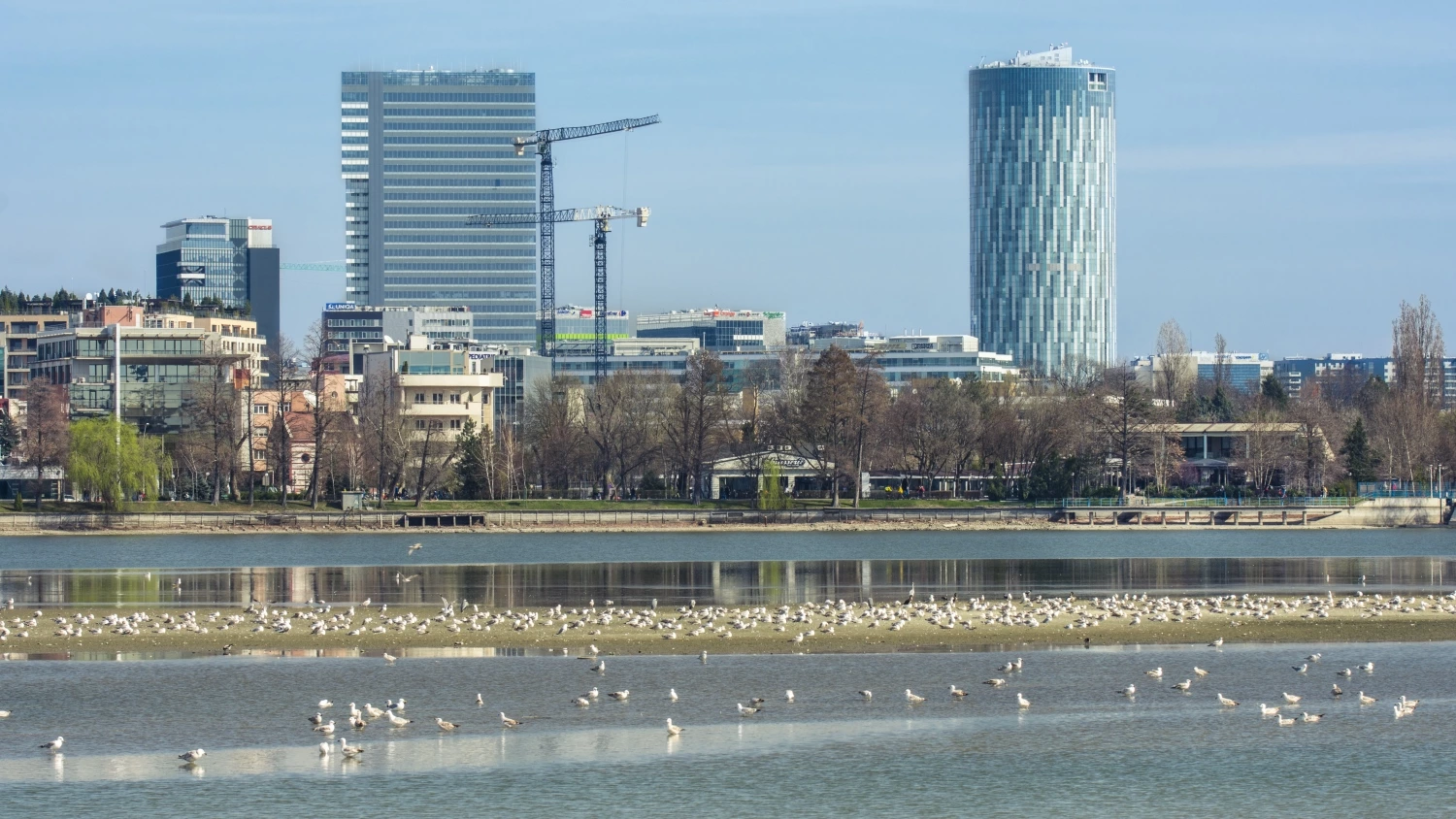 Bucharest housing bounces back