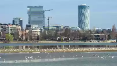 News - Bucharest housing bounces back
