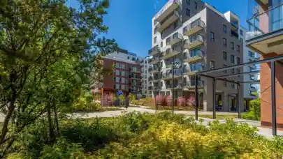 News - Yareal upgrades streets around SOHO development in Warsaw