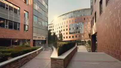 News - BNPPRE to manage Immofinanz’s Hungarian offices