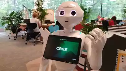 News - CBRE Romania puts humanoid robot into work