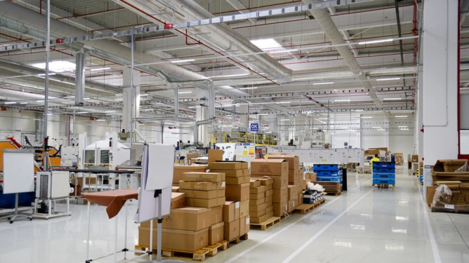 News Article CTP launches operations in Bulgaria