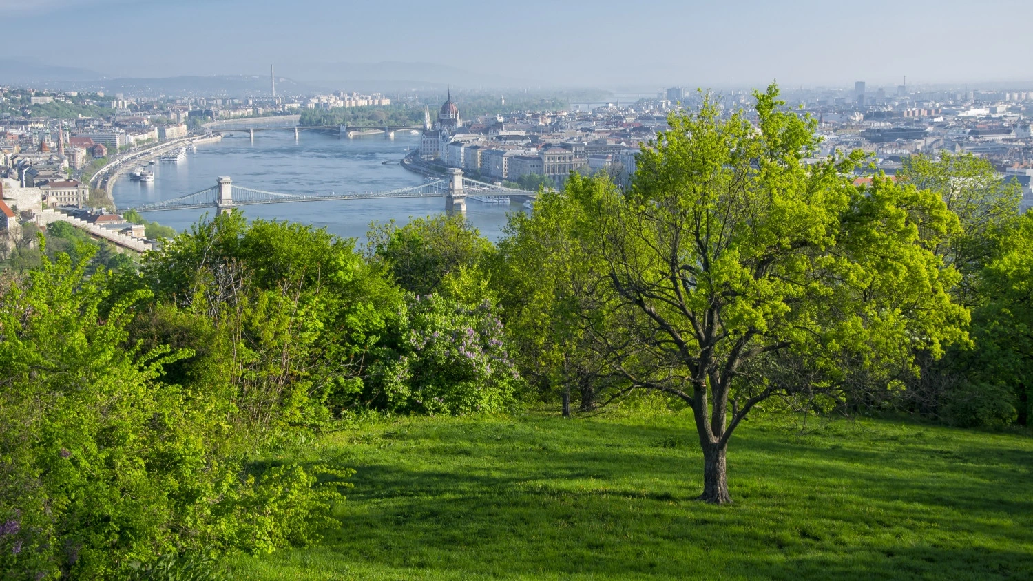 News Article Budapest’s green-certified office stock doubles in 4 years