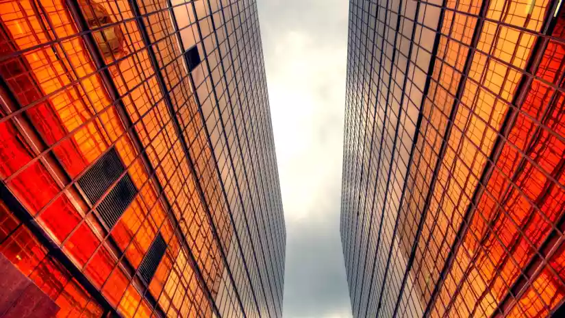 News - Crowdberry plans expansion in real estate with new appointment