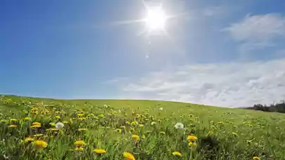 News - Spiller Farmer brokers sale of 165,000 sqm land plot near Zagreb