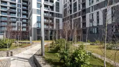 News - Akcent Development records €48 million turnover in 2020