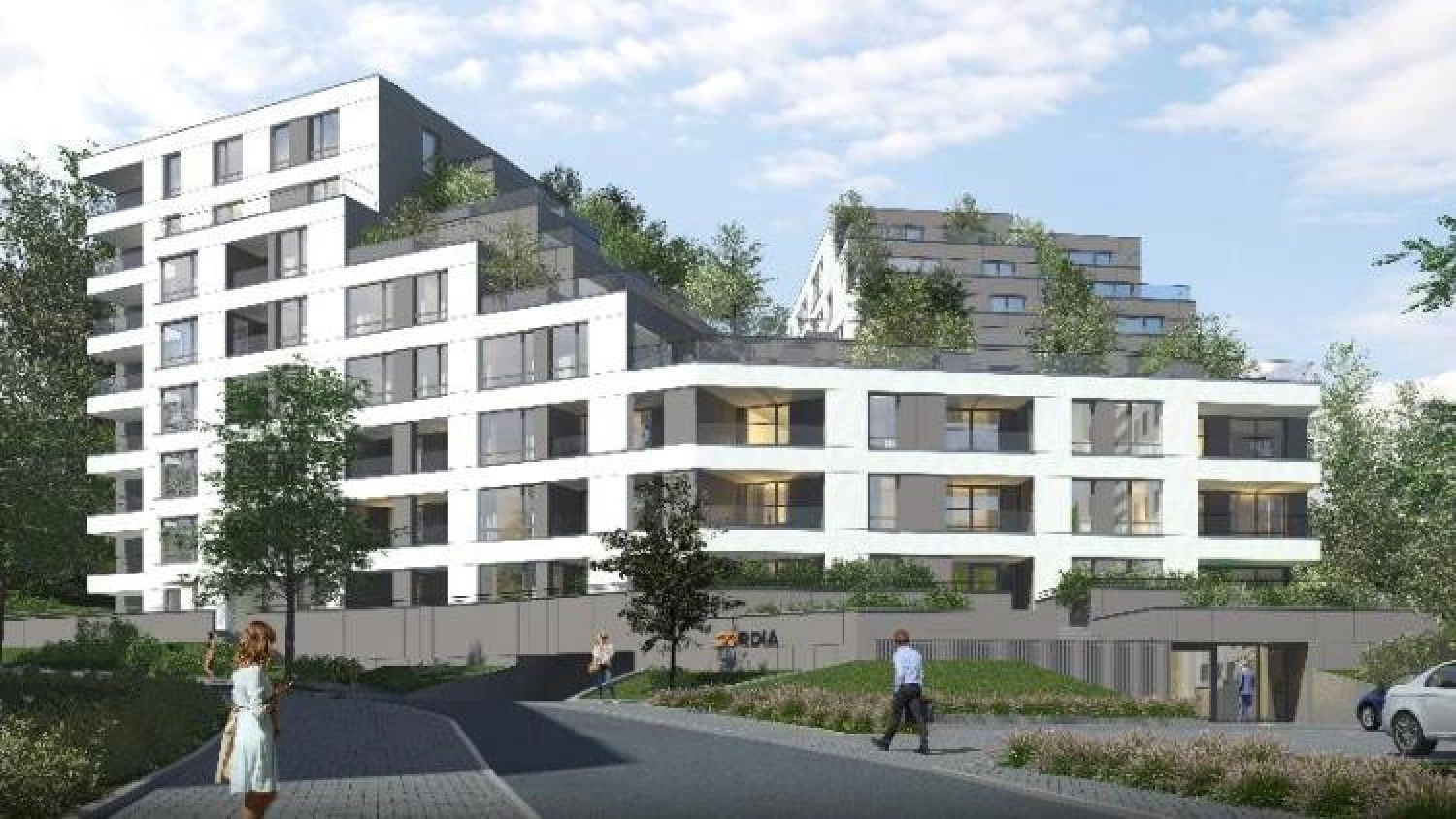 News Article Cordia aims to realize half of its total sales in Poland