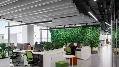 News - Colliers: Romanians favour the hybrid work system