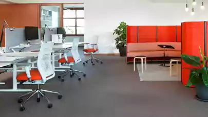 News - Survey: Romanian employees look for healthy offices