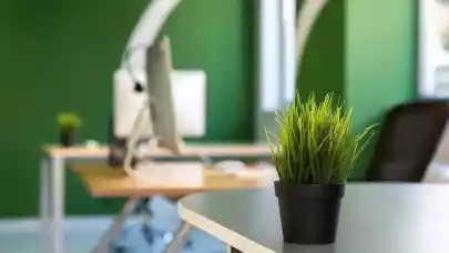 News - Romanian employees look for healthy and green offices